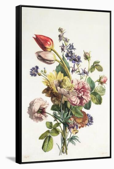 Study of a Bunch of Flowers, 1817-Antoine Berjon-Framed Stretched Canvas