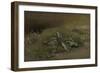 Study of a Burdock, C.1810-14 or C.1828 (Oil on Canvas, Mounted on Panel)-John Constable-Framed Giclee Print