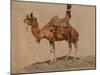 Study of a Camel, C. 1891 (Oil on Canvas)-Aleksei Danilovich Kivshenko-Mounted Giclee Print