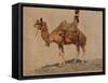 Study of a Camel, C. 1891 (Oil on Canvas)-Aleksei Danilovich Kivshenko-Framed Stretched Canvas