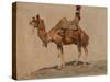 Study of a Camel, C. 1891 (Oil on Canvas)-Aleksei Danilovich Kivshenko-Stretched Canvas