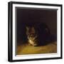 Study of a Cat, 1817-Abraham Cooper-Framed Giclee Print