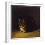 Study of a Cat, 1817-Abraham Cooper-Framed Giclee Print