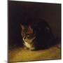 Study of a Cat, 1817-Abraham Cooper-Mounted Giclee Print