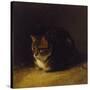 Study of a Cat, 1817-Abraham Cooper-Stretched Canvas