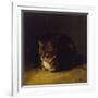 Study of a Cat, 1817-Abraham Cooper-Framed Giclee Print