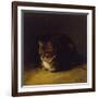 Study of a Cat, 1817-Abraham Cooper-Framed Giclee Print