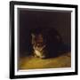 Study of a Cat, 1817-Abraham Cooper-Framed Giclee Print