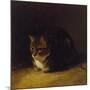 Study of a Cat, 1817-Abraham Cooper-Mounted Giclee Print