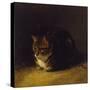 Study of a Cat, 1817-Abraham Cooper-Stretched Canvas