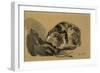 Study of a Cat, 1905-08-Gwen John-Framed Giclee Print