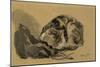Study of a Cat, 1905-08-Gwen John-Mounted Giclee Print