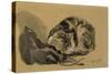 Study of a Cat, 1905-08-Gwen John-Stretched Canvas