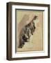 Study of a Cat (W/C on Paper)-Gwen John-Framed Premium Giclee Print