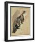 Study of a Cat (W/C on Paper)-Gwen John-Framed Premium Giclee Print