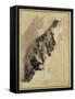 Study of a Cat (W/C on Paper)-Gwen John-Framed Stretched Canvas