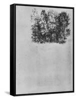 Study of a Coppice', c1480 (1945)-Leonardo Da Vinci-Framed Stretched Canvas