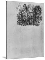 Study of a Coppice', c1480 (1945)-Leonardo Da Vinci-Stretched Canvas