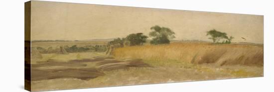 Study of a Cornfield-George Hemming Mason-Stretched Canvas