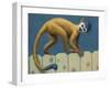 Study of a Cute Monkey-James W. Johnson-Framed Giclee Print