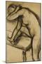 Study of a Dancer-Edgar Degas-Mounted Giclee Print