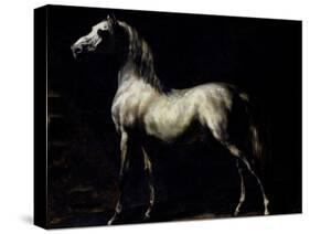 Study of a Dapple Grey-Théodore Géricault-Stretched Canvas