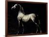 Study of a Dapple Grey-Théodore Géricault-Framed Giclee Print