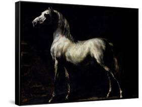 Study of a Dapple Grey-Théodore Géricault-Framed Stretched Canvas