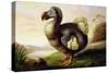 Study of a Dodo-F Hart-Stretched Canvas