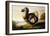 Study of a Dodo-F Hart-Framed Giclee Print