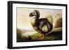 Study of a Dodo-F Hart-Framed Giclee Print