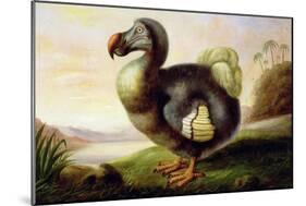 Study of a Dodo-F Hart-Mounted Giclee Print