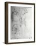 Study of a Dog and a Cat, c.1480-Leonardo da Vinci-Framed Giclee Print