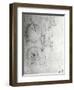 Study of a Dog and a Cat, c.1480-Leonardo da Vinci-Framed Giclee Print