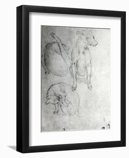 Study of a Dog and a Cat, c.1480-Leonardo da Vinci-Framed Giclee Print