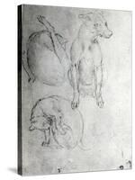 Study of a Dog and a Cat, c.1480-Leonardo da Vinci-Stretched Canvas