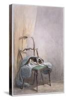 Study of a Dog on a Chair-William Henry Hunt-Stretched Canvas