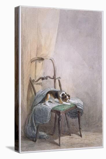 Study of a Dog on a Chair-William Henry Hunt-Stretched Canvas