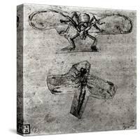 Study of a Dragonfly-Leonardo da Vinci-Stretched Canvas