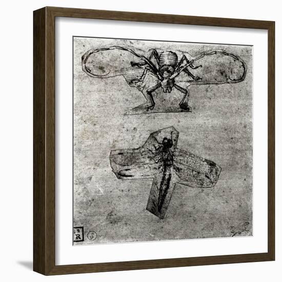 Study of a Dragonfly-Leonardo da Vinci-Framed Giclee Print