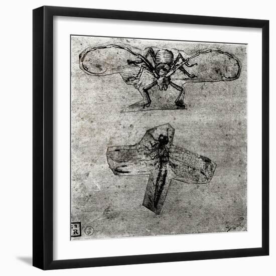 Study of a Dragonfly-Leonardo da Vinci-Framed Giclee Print