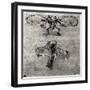 Study of a Dragonfly-Leonardo da Vinci-Framed Giclee Print