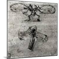 Study of a Dragonfly-Leonardo da Vinci-Mounted Giclee Print