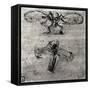 Study of a Dragonfly-Leonardo da Vinci-Framed Stretched Canvas