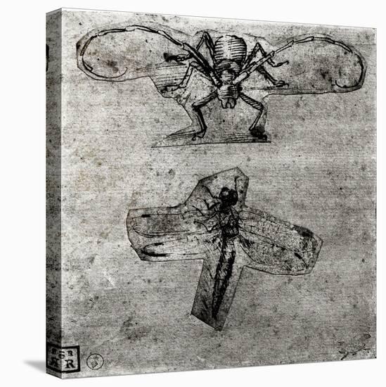Study of a Dragonfly-Leonardo da Vinci-Stretched Canvas