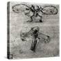 Study of a Dragonfly-Leonardo da Vinci-Stretched Canvas