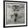 Study of a Dragonfly-Leonardo da Vinci-Framed Giclee Print