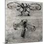 Study of a Dragonfly-Leonardo da Vinci-Mounted Giclee Print