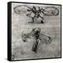 Study of a Dragonfly-Leonardo da Vinci-Framed Stretched Canvas