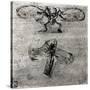 Study of a Dragonfly-Leonardo da Vinci-Stretched Canvas